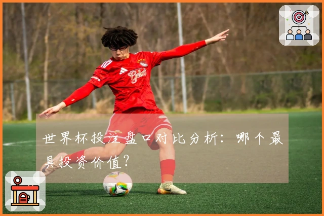 世界杯投注盘口对比分析：哪个最具投资价值？