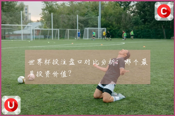世界杯投注盘口对比分析：哪个最具投资价值？
