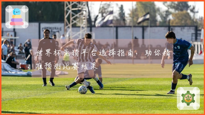 世界杯竞猜平台选择指南，助你精准预测比赛结果