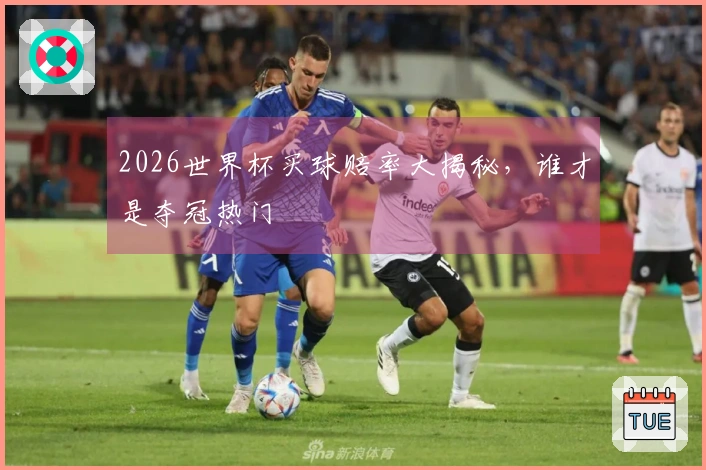 2026世界杯买球赔率大揭秘，谁才是夺冠热门