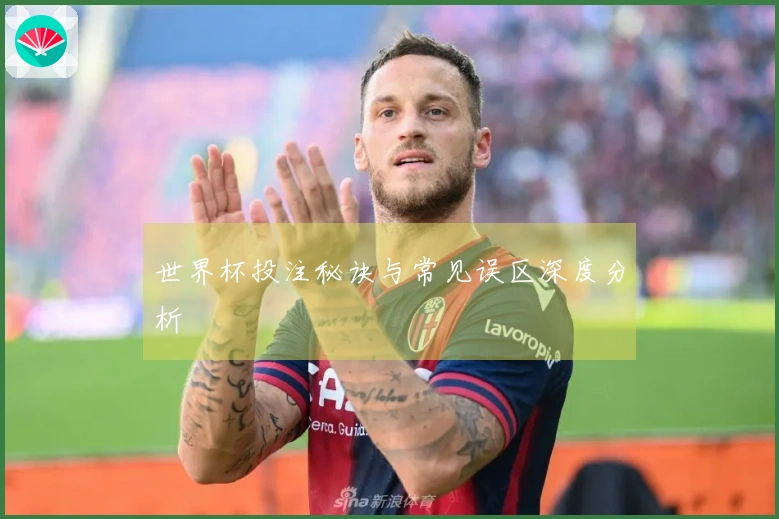 世界杯投注秘诀与常见误区深度分析