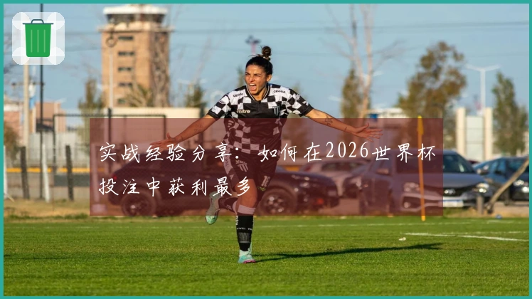 实战经验分享：如何在2026世界杯投注中获利最多