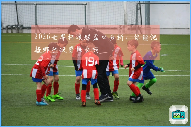 2026世界杯滚球盘口分析，你能把握哪些投资机会吗