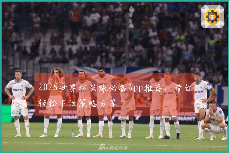 2026世界杯买球必备App推荐，带你轻松下注策略分享
