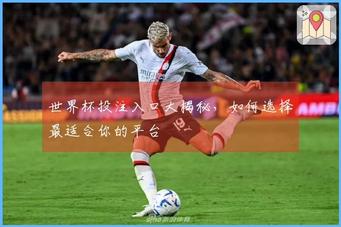 世界杯投注入口大揭秘，如何选择最适合你的平台
