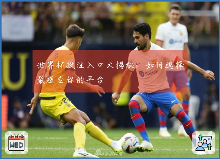 世界杯投注入口大揭秘，如何选择最适合你的平台