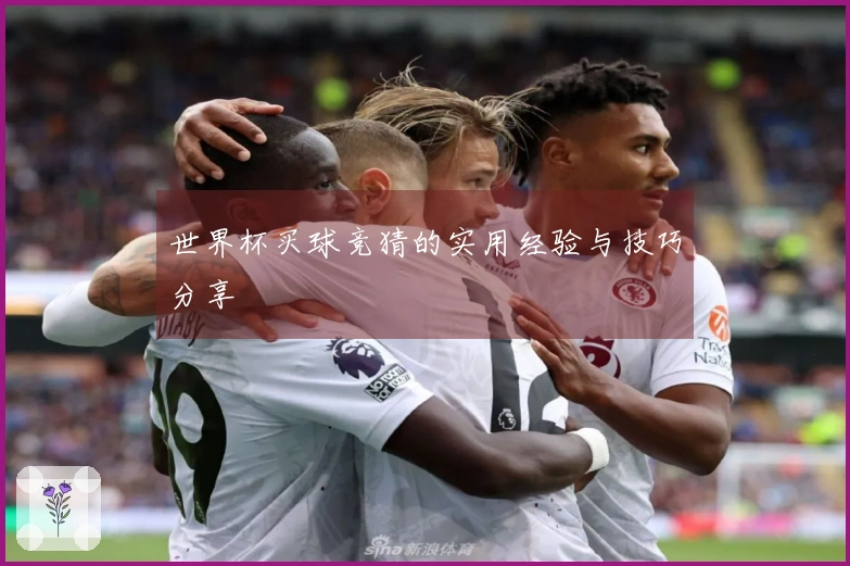 世界杯买球竞猜的实用经验与技巧分享