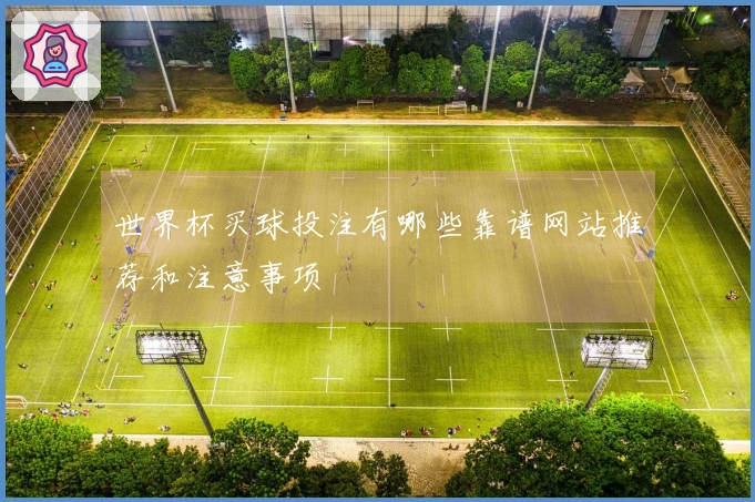 世界杯买球投注有哪些靠谱网站推荐和注意事项