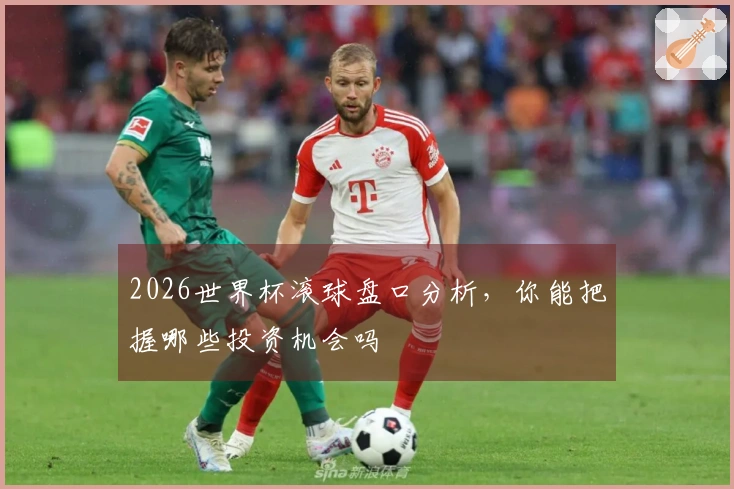 2026世界杯滚球盘口分析，你能把握哪些投资机会吗