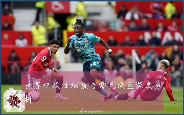 世界杯投注秘诀与常见误区深度分析